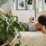 Обучение GPT-3.5 в складчину в 2025 году перспективы и возможности